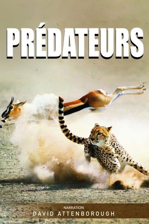 Prédateurs Prédateurs