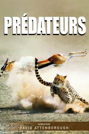 Poster Prédateurs 2015