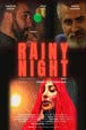 Rainy Night