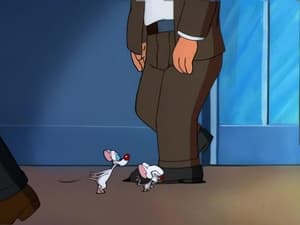 Pinky and the Brain Mice Don't Dance