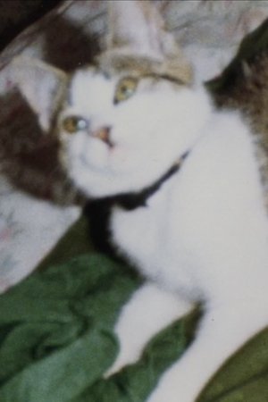 Clem