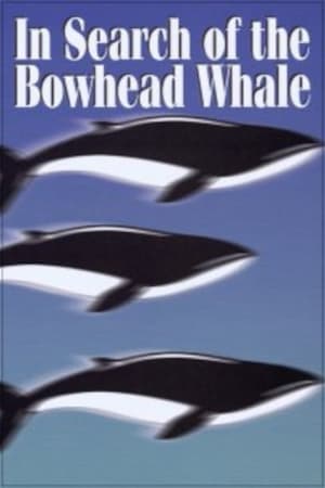 Poster In Search of the Bowhead Whale 1974