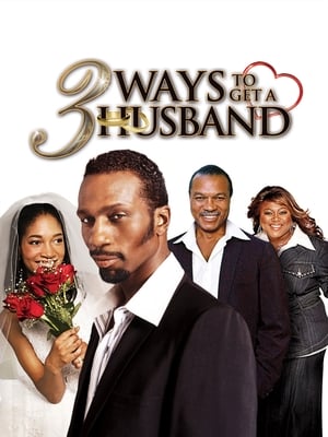 Poster 3 Ways to Get a Husband 2010