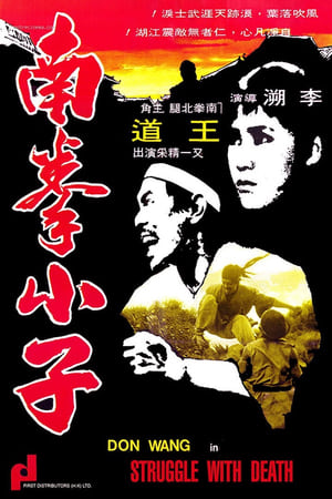Poster 南拳小子 1977
