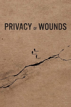 Poster Privacy of Wounds (2018)