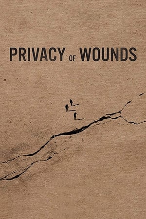 Poster Privacy of Wounds 2018