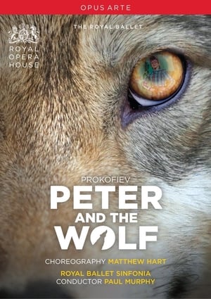 Image Peter & The Wolf