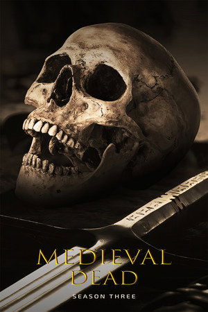 Sezon 3 posteri