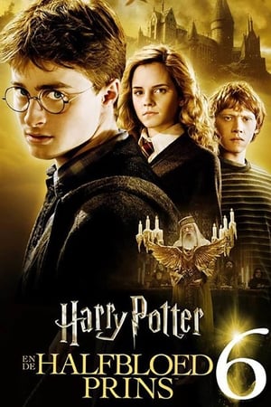 Poster Harry Potter en de Halfbloed Prins 2009