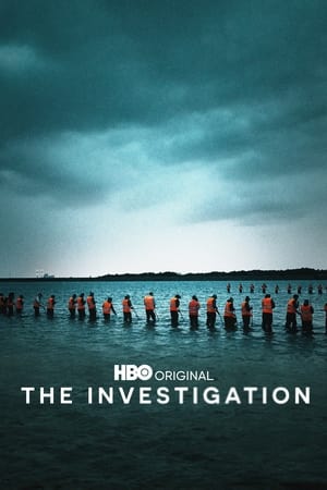 The Investigation: Stagione 1