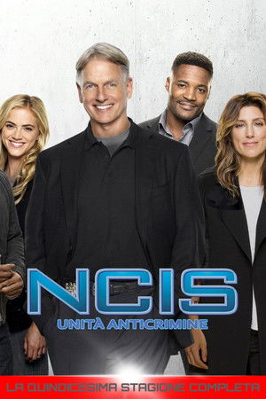 NCIS - Unità anticrimine: Stagione 15
