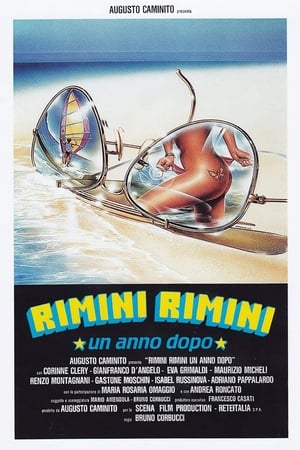 Rimini Rimini - Un anno dopo poster