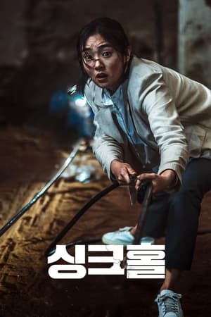 Poster 싱크홀 2021