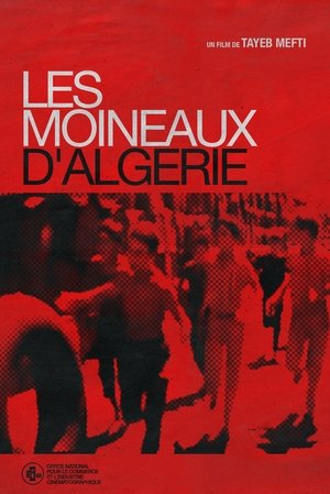 Image Les Moineaux d'Algérie