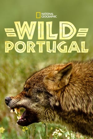 Poster Wild Portugal (2020)