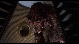 The Fly backdrop