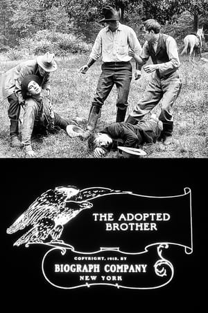 Poster The Adopted Brother (1913)