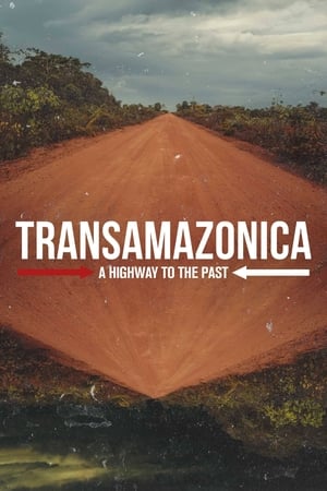 Image Transamazonica: A Highway to the Past
