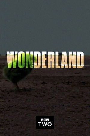 Wonderland