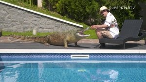 1461 Lov krokodil on Državni posao Season 9 Episode 31 – October 26, 2020