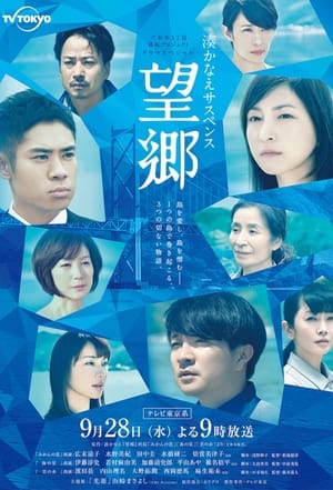Poster 湊かなえサスペンス『望郷』 (2016)