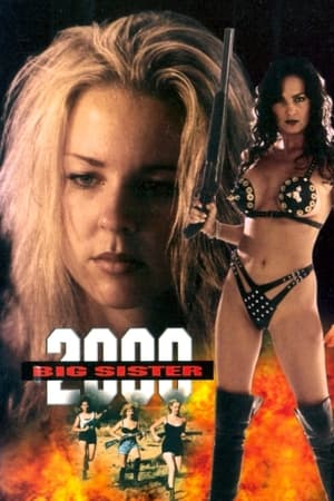 Poster Big Sister 2000 1995