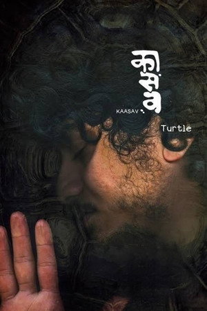 Kaasav: Turtle 4