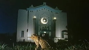 Cane Toads: An Unnatural History 5
