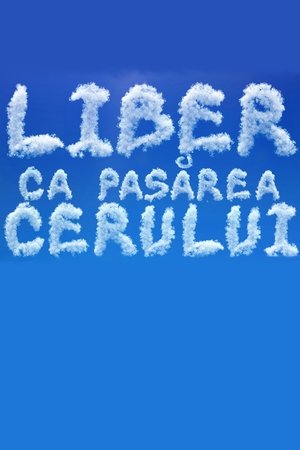 Liber ca pasarea cerului poster