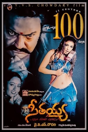 Poster Seetayya 2003