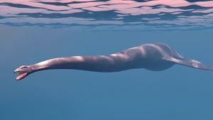 The Loch Ness Monster Part II