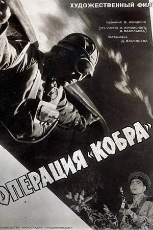 Operation Cobra 5