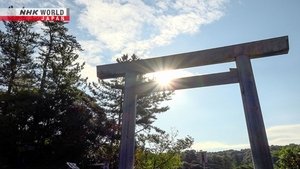 Journeys in Japan: 14×25