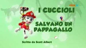 Paw Patrol 2×13