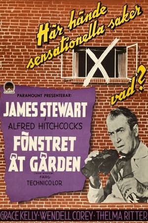 Poster Fönstret åt gården 1954