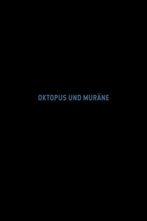 Poster Oktopus und Muräne 2020