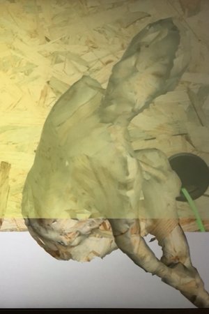 Nonton film Technologies Of Care (2016) terbaru sub indo Nonton film Technologies Of Care (2016) terbaru sub indo