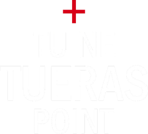 Tu ne tueras point