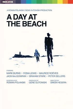 A Day at the Beach