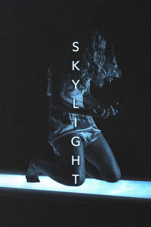 Skylight