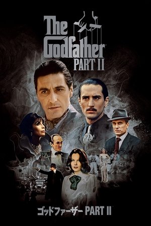 poster The Godfather Part II