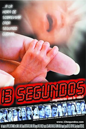 Poster 13 segundos 2007