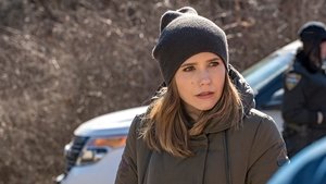 Chicago P.D.: Season 4 Episode 17