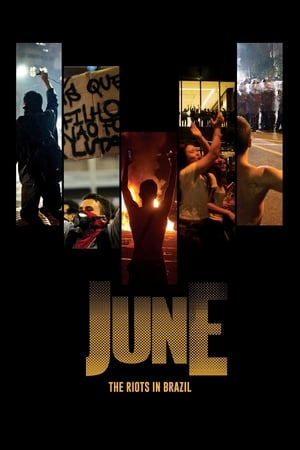 Poster June - The Riots in Brazil 2014