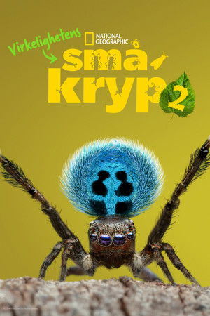 Virkelighetens småkryp: Season 2