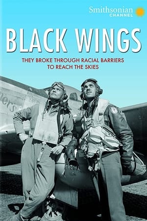 Poster Black Wings (2012)