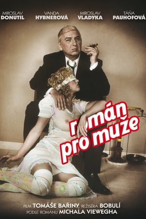 Poster Román pro muže (2010)