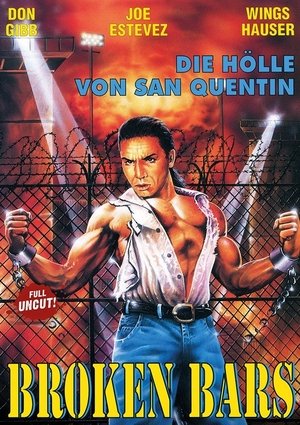 Poster Broken Bars (1995)