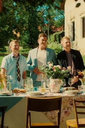 Př&aacute;n&iacute; k narozenin&aacute;m 2 (2026)