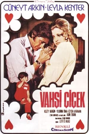 Poster Vahşi Çiçek (1972)